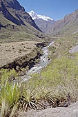 Inca Trail, Cusichaca Valley with the snow capped peak of Veronica in sight. 